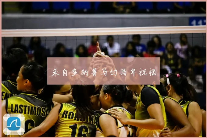 来自多纳鲁马的马年祝福