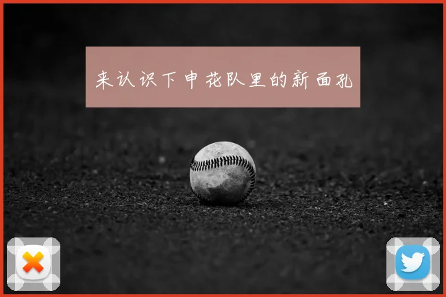 来认识下申花队里的新面孔